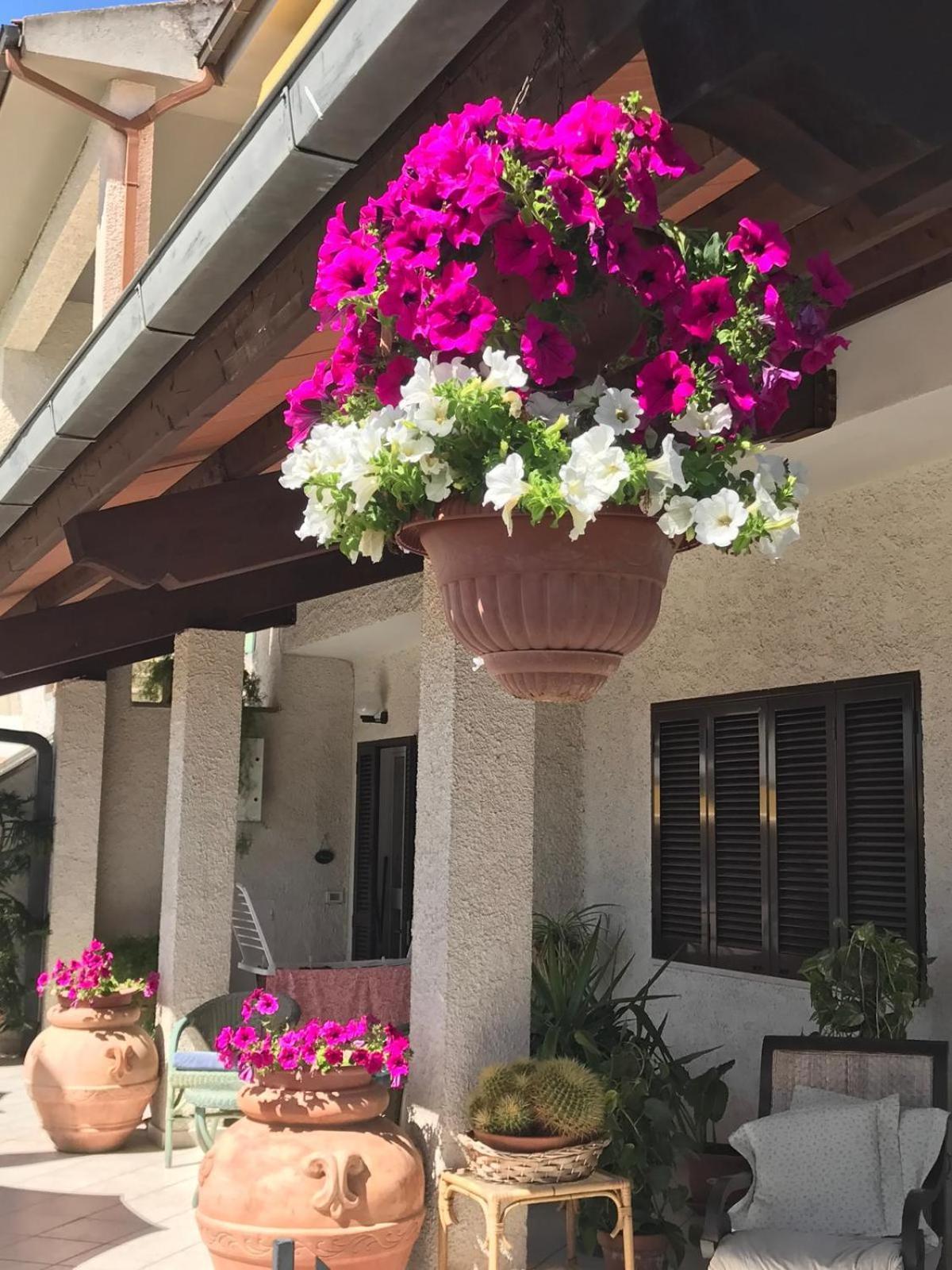 Hotel B&B Rispescia Grosseto Exterior foto