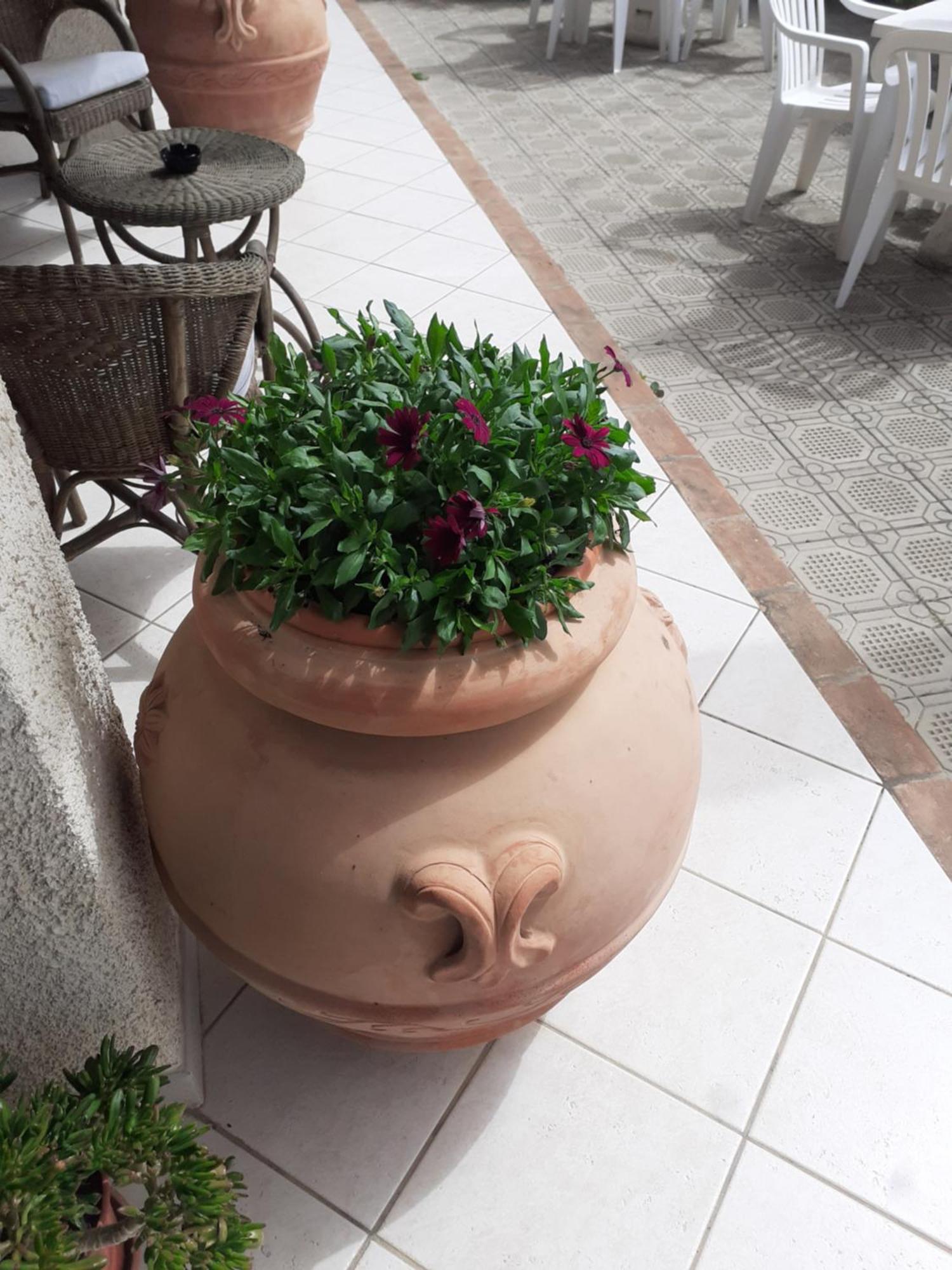 Hotel B&B Rispescia Grosseto Exterior foto