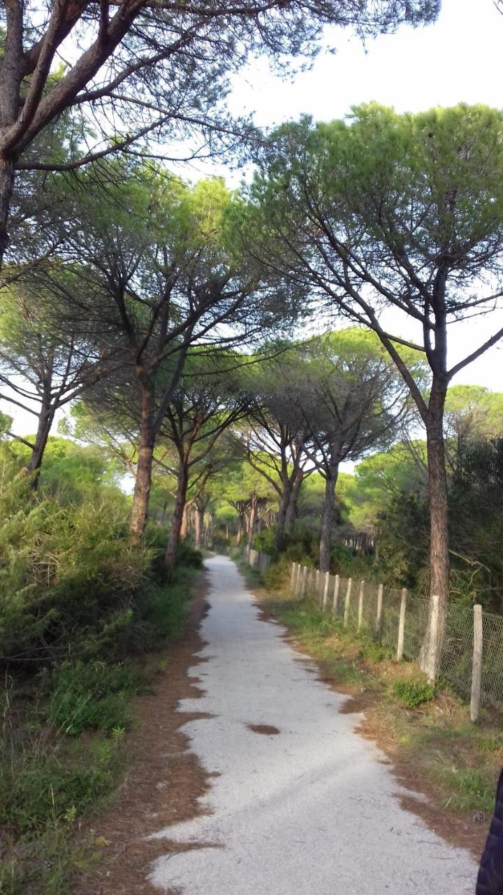 Hotel B&B Rispescia Grosseto Exterior foto